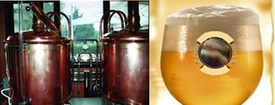 prodotti tipici Liguria: birra extravergine di  Oliva