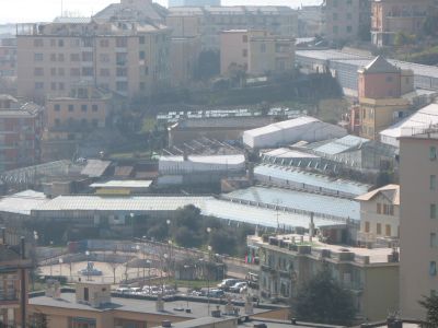 Floricoltura e Giardinaggio a Genova: Garden Servetto a GenovaPra