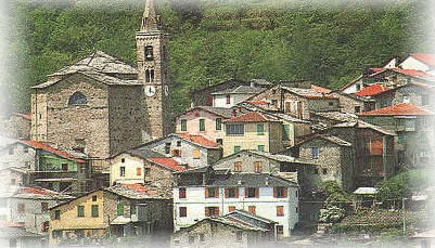 prodotti tipici Liguria: Olio extravergine di  Oliva