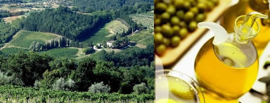 prodotti tipici Liguria: Olio extravergine di  Oliva